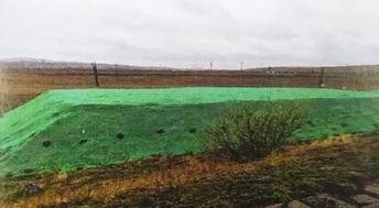 青清草原免费视频线路,免费视频线路带你领略自然之美