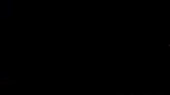 滑板高手视频,极限运动中的速度与激情