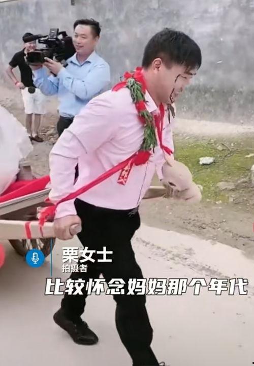 拉牛车视频,探寻传统农耕文化的魅力与传承