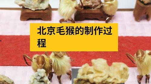 毛猴制作视频,传统手工艺的传承与创新