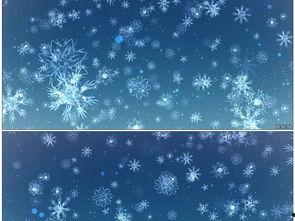 花蓝头视频,探寻花艺之美，感受生活雅韵