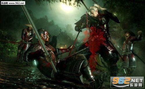 仁王视频,探寻日本战国时代的传奇与荣耀