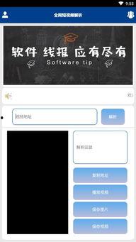 视频解析下载,轻松获取心仪视频内容