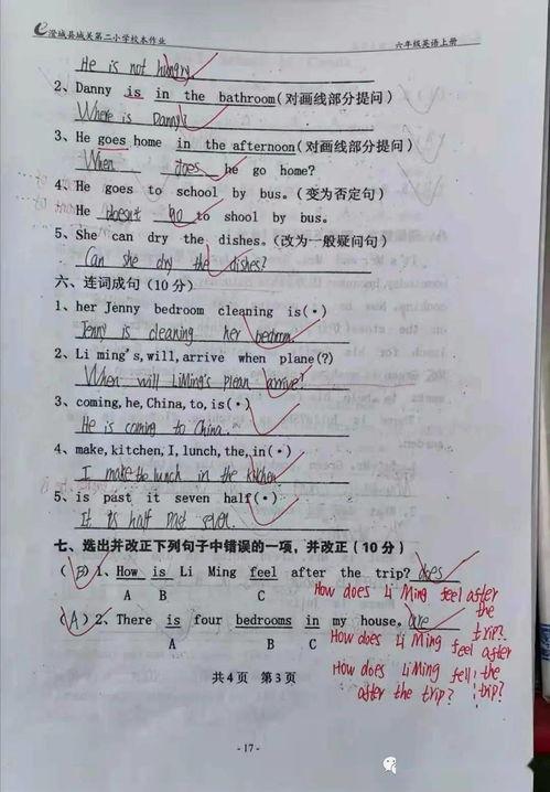 猫教学视频第一课时,入门必备，轻松掌握猫咪基础