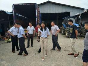 广西南宁梁村事件视频